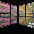 京都。瑠璃光院。