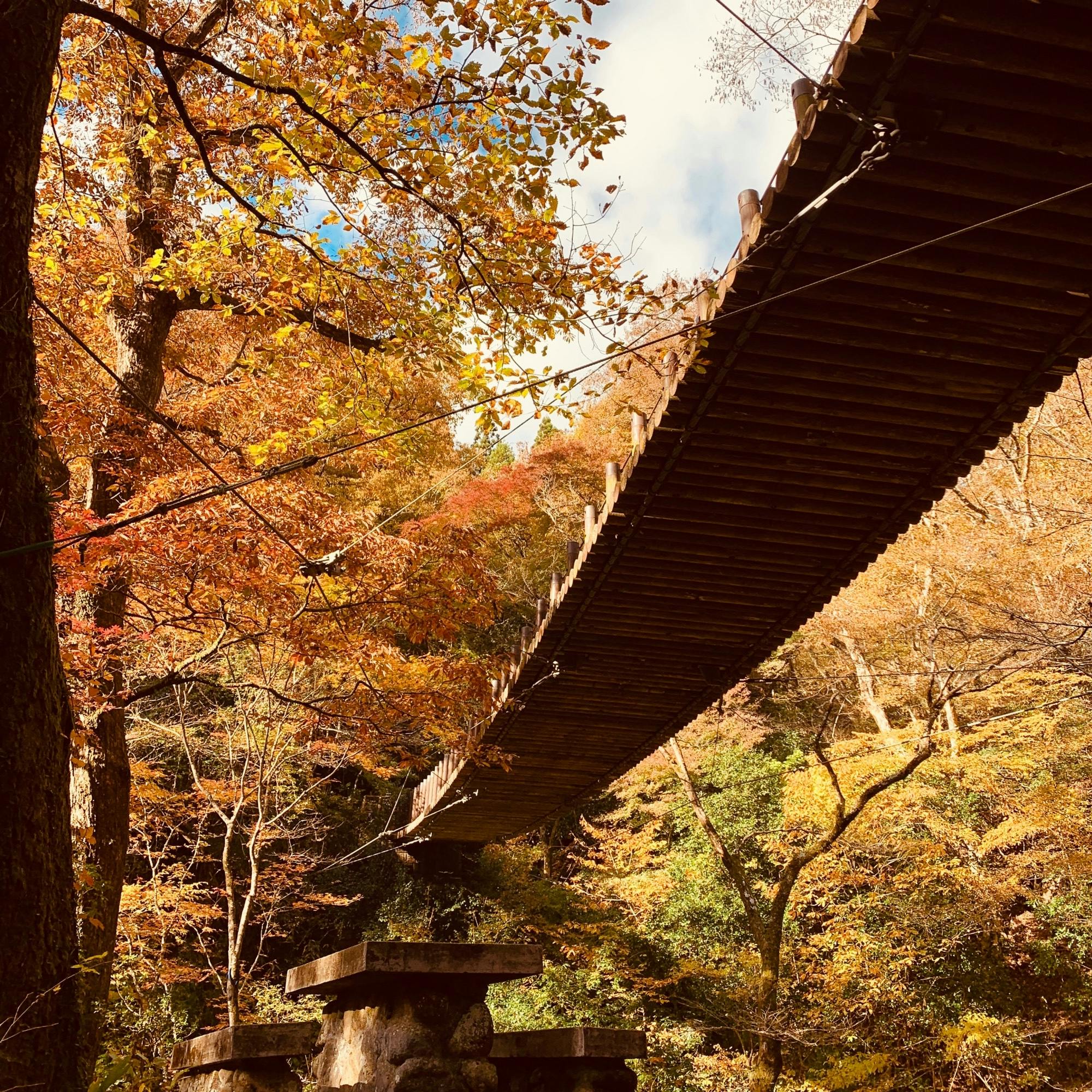 汐見滝吊り橋の投稿写真 感想 みどころ 茨城花貫渓谷の汐見滝吊り橋紅葉は来週あたりが 見頃でしょ トリップノート 汐見滝吊り橋の投稿写真 感想 みどころ 茨城花貫渓谷の汐見滝吊り橋紅葉は来週あたりが 見頃でしょ トリップノート
