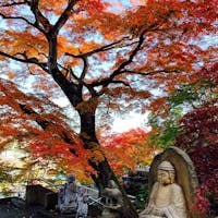 茨城
永源寺
もみじはもちろん 石像も楽しめるお寺