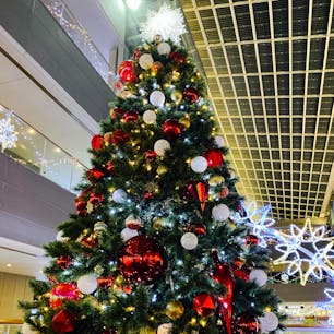 成城学園前駅に直結する成城コルティ

成城学園前駅ユーザーに必須のお買い物スポット♪
今年もクリスマスがやってきますね(^^)