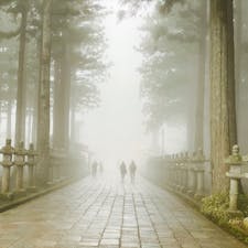 和歌山高野山
霧がかぶって幻想的でした。