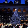 New York / Manhattan
Bryant Park
ニューヨーク公共図書館を背景に、青く輝くブライアントパークのクリスマスツリー。