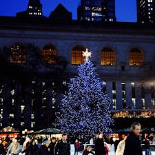 New York / Manhattan
Bryant Park
ニューヨーク公共図書館を背景に、青く輝くブライアントパークのクリスマスツリー。