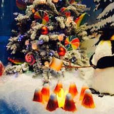 New York / Manhattan
Dylan’s Candy Bar
ミッドタウンのブルーミングデールズデパート裏にあるキャンディストアのクリスマスディスプレイ。雪国のペンギンがマシュマロを焼いてます♪