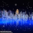 北海道美瑛町の青い池。雪に埋もれてしまう冬の間も楽しめるように、毎年11月～4月末までの間、40台のLEDライトが夜の池を青白い光で包みます。照射は少しずつ色や強さを変え、10分で1つのストーリーを表現しています。#北海道　#美瑛　#青い池　#ライトアップ