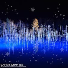 北海道美瑛町の青い池。雪に埋もれてしまう冬の間も楽しめるように、毎年11月～4月末までの間、40台のLEDライトが夜の池を青白い光で包みます。照射は少しずつ色や強さを変え、10分で1つのストーリーを表現しています。#北海道　#美瑛　#青い池　#ライトアップ