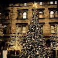 New York / Manhattan
The New York Palace
海外ドラマの『ゴシップガール』の中で主人公のセリーナが住んでいた家。ニューヨークの高級ホテルのランドマーク的存在「ニューヨークパレスホテル」のクリスマスツリーは必見♪