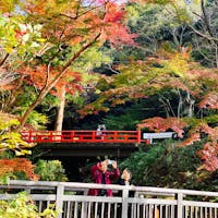 23年 和歌山県植物公園 緑花センター はどんなところ 周辺のみどころ 人気スポットも紹介します
