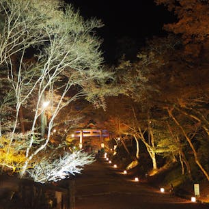 日吉大社

滋賀の日吉大社。
紅葉ライトアップ。
カップル多め。

#滋賀#日吉大社#紅葉#ライトアップ