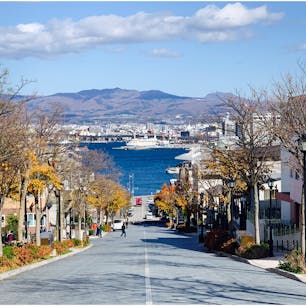 秋の終わり
函館・八幡坂

函館には歴史ある坂道がたくさん
昔ここには函館八幡宮があったとの事
坂道を登り切って眺める
函館湾は綺麗でした

#函館
#北海道
#八幡坂

2019.11.2