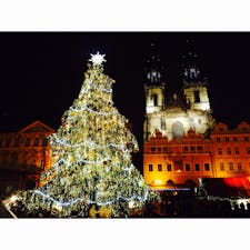 プラハのクリスマスマーケット🎄

ツリーが大きすぎて写真に収めるのが大変！笑
いくつかクリスマスマーケット行ったけど、
私的にはプラハのが一番印象的だった😊