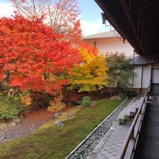 特別拝観よかった〜