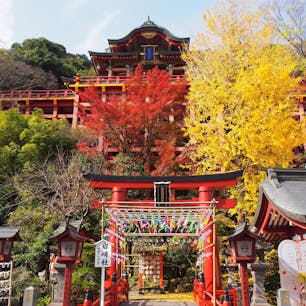 11月なのに風鈴がぶら下がってた祐徳稲荷。