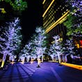 東京ガーデンテラス

冬の寒い永田町での一枚♪
イルミネーションが映えますね(^^)