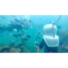 Sea walk @バリ島 ヌサドゥア