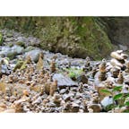 宮崎県
〜天安河原〜