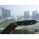 年 リッツカールトン ミレニア シンガポール The Ritz Carlton Millenia Singaporeリッツ カールトン ミレニア シンガポール はどんなところ 周辺のみどころ 人気スポットも紹介します 料金 クチコミ比較