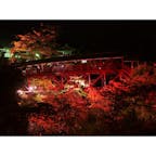 【静岡】

　

浜松市北区ある方広寺です
期間限定で三重塔や真っ赤な亀背橋がライトアップされます。
とても幻想的で心が浄化されますので
この時期に静岡に来た際はぜひ^_^