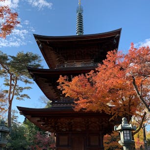 東京　世田谷区
豪徳寺