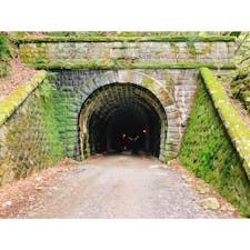 静岡
旧天城トンネル