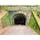 静岡
旧天城トンネル
