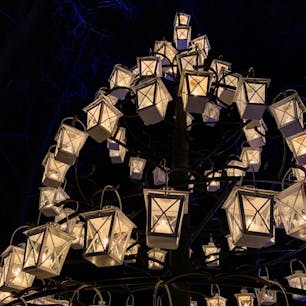 #軽井沢高原教会 #軽井沢 #長野
2019年12月

クリスマスキャンドルナイト🎄🕯