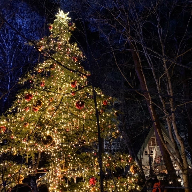 クリスマスキャンドルナイト 聖なる森のクリスマスの投稿写真 感想 みどころ 軽井沢高原教会 軽井沢 長野19年12月クリ トリップノート クリスマスキャンドルナイト 聖なる森のクリスマスの投稿写真 感想 みどころ 軽井沢高原教会 軽井沢 長野19年12月クリ トリップノート