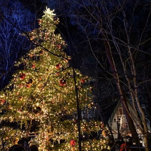 #軽井沢高原教会 #軽井沢 #長野
2019年12月

クリスマスキャンドルナイト🎄🕯