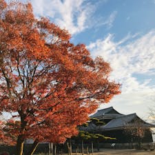 愛媛はまだまだ紅葉シーズン🍁
松山城馬具櫓