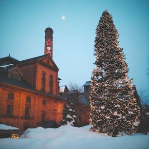サッポロビール園
雪凄かったなぁ〜☃