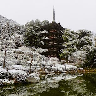 山口市
瑠璃光寺
五重塔は国宝です。