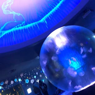 江ノ島水族館
くらげのコーナーです。