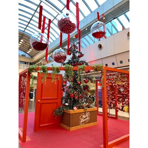 京都ポルタのクリスマスツリー
派手やなぁ笑笑