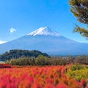 21年 大石公園 はどんなところ 周辺のみどころ 人気スポットも紹介します