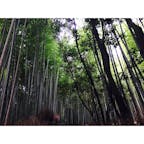 京都
竹林の道