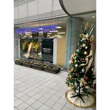 青山ブックセンターにあるクリスマスツリー(^^)