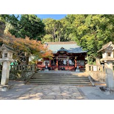 2019年12月12日 #伊豆山神社
パワースポット ☻ なぎのお札はなかった！