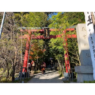 2019年12月12日 #来宮神社
なんかすごい観光客向けに改装？してあってビックリ ☻