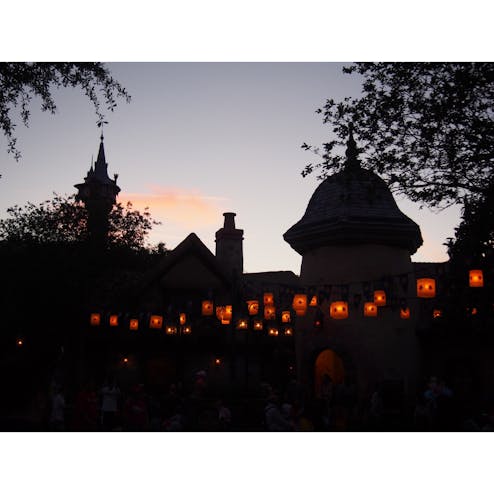 ディズニー マジックキングダム パーク