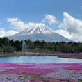 今年の旅行まとめ。
人生初富士山🗻
美しさにに感動✨