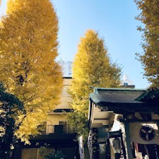 銀杏岡神社@浅草橋駅
大通りの路地から見えた、銀杏の綺麗さに惹かれて訪れました〜☺️
御朱印二冊目はここから〜🚶‍♀️