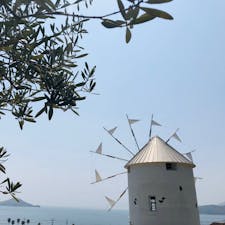 小豆島・オリーブ大好き！
また行きたいな。
