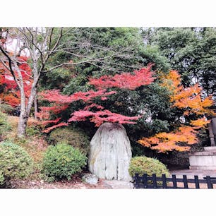 #香川県 #金刀比羅宮