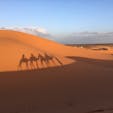 Morocco #砂漠 #サハラ砂漠 #ラクダ