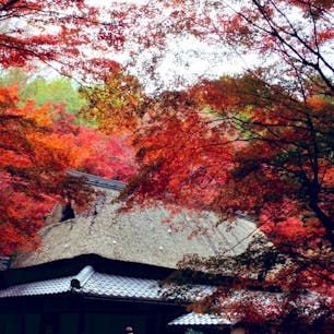 #滋賀県　#教林坊