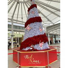 広島駅
新幹線口にあるクリスマスツリー。
さすが広島。カープカラーだ(^^)