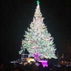 北海道　函館
クリスマスツリー