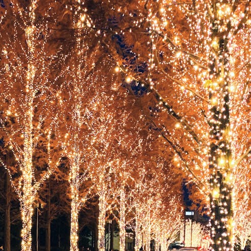 【終了】ローム イルミネーション