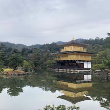 〰Kyoto🇯🇵〰
#金閣寺