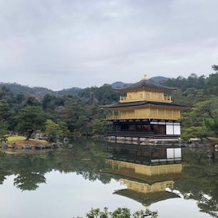 〰Kyoto🇯🇵〰
#金閣寺